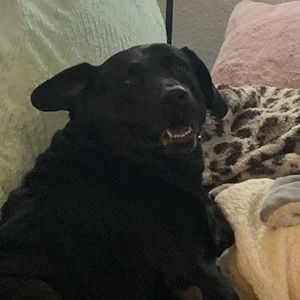 Meet your Posher, Kylee